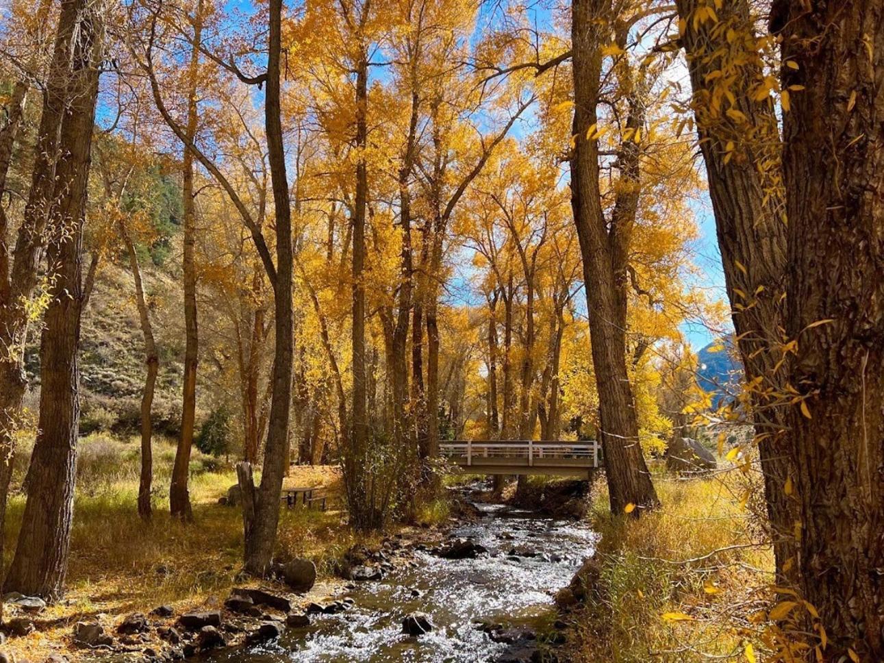 Poncha Creek Mountain Lodge, Near Monarch Mtn Salida Esterno foto